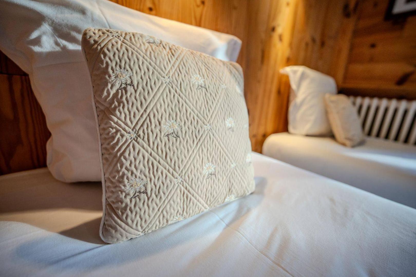 Hotel Du Centre Valloire Ngoại thất bức ảnh